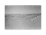 View of dunes in the ...