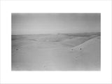 View of dunes in the ...