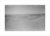 View of dunes in the ...