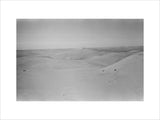 View of dunes in the ...