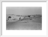 View of Wilfred Thesiger's party ...