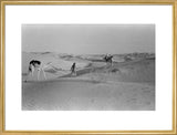 View of Wilfred Thesiger's party ...