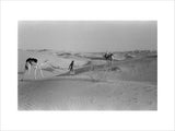 View of Wilfred Thesiger's party ...