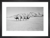View of four members of ...