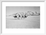 View of four members of ...