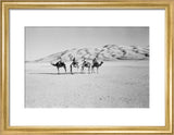 View of four members of ...