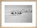 View of four members of ...