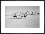 View of four members of ...