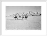 View of four members of ...