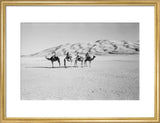 View of four members of ...