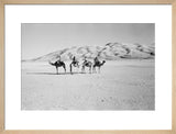 View of four members of ...