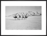 View of four members of ...