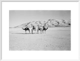 View of four members of ...
