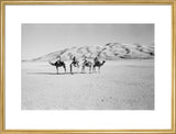 View of four members of ...