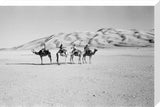 View of four members of ...