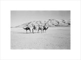 View of four members of ...
