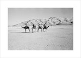 View of four members of ...