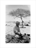 Seated portrait of a Bedouin ...