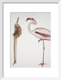 Two Birds
