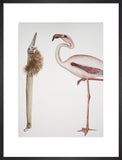 Two Birds