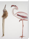 Two Birds