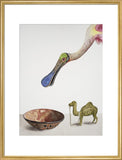New World Spoonbill with the Bronze Camel