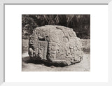 Stone carving (Zoomorph P) at Maya site of Quirigua, Guatemala