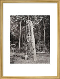 Stone carving (Stela F) at Maya site of Quirigua, Guatemala