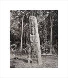 Stone carving (Stela F) at Maya site of Quirigua, Guatemala