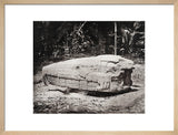 Stone carving (Zoomorph G) at Maya site of Quirigua, Guatemala