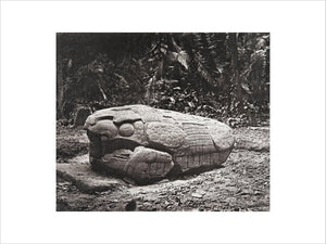 Stone carving (Zoomorph G) at Maya site of Quirigua, Guatemala