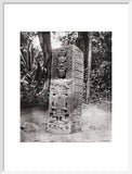 Stone carving (Stela A) at Maya site of Quirigua, Guatemala