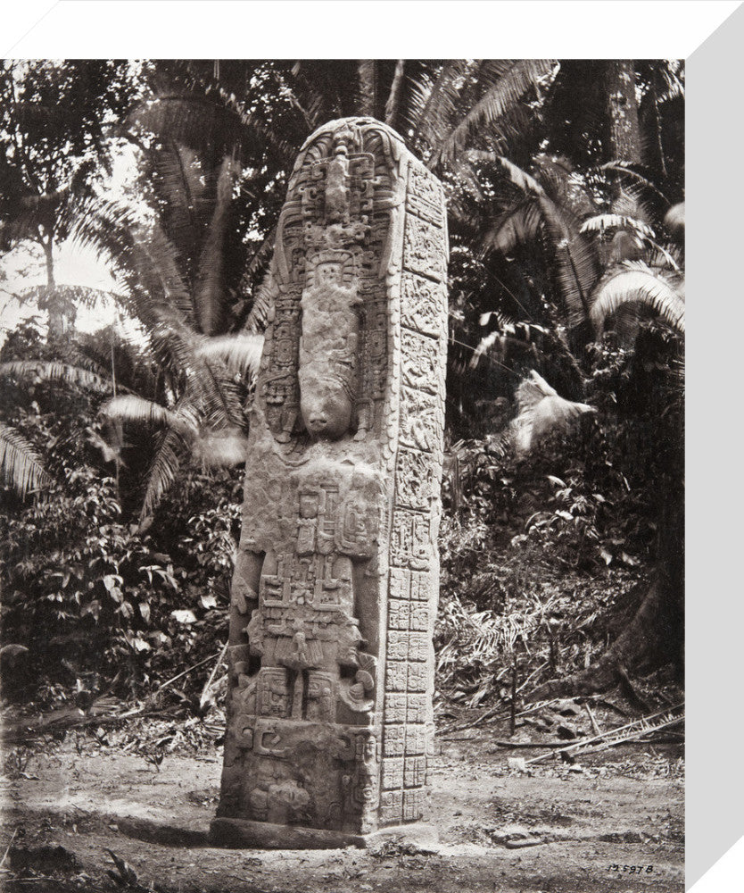 Stone carving (Stela D) at Maya site of Quirigua, Guatemala – Pitt Rivers Museum Prints