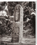 Stone carving (Stela D) at Maya site of Quirigua, Guatemala