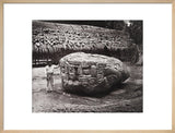 Stone carving (Zoomorph B) at Maya site of Quirigua, Guatemala