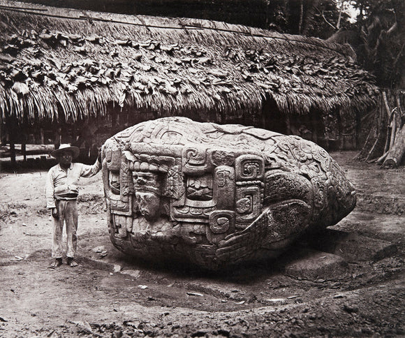 Stone carving (Zoomorph B) at Maya site of Quirigua, Guatemala – Pitt Rivers Museum Prints