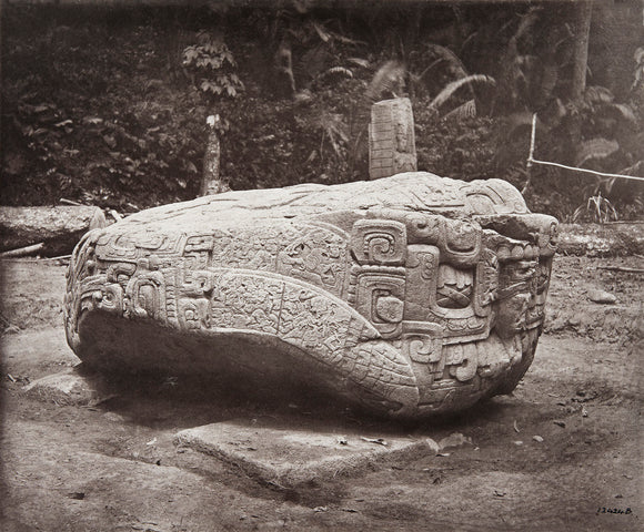 Stone carving (Zoomorph B) at Maya site of Quirigua, Guatemala