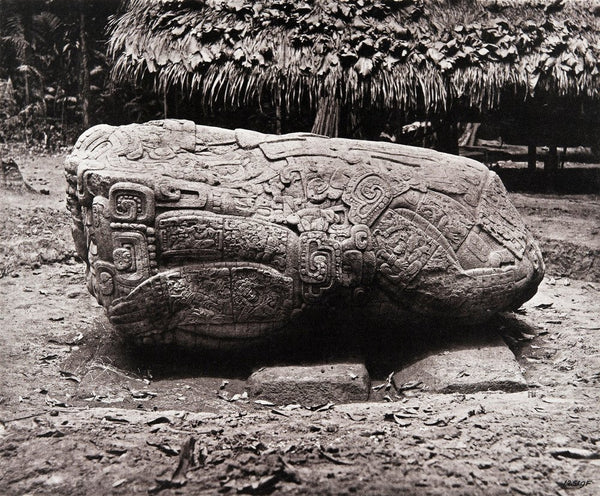 Stone carving (Zoomorph B) at Maya site of Quirigua, Guatemala – Pitt Rivers Museum Prints