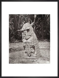 Stone carving (Stela K) at Maya site of Quirigua, Guatemala